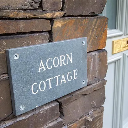 Acorn Tatil Evi